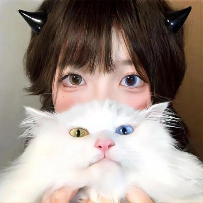 小小北极熊2神秘岛
