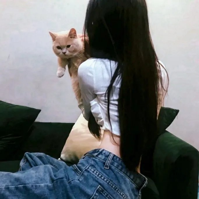 庭外的一角